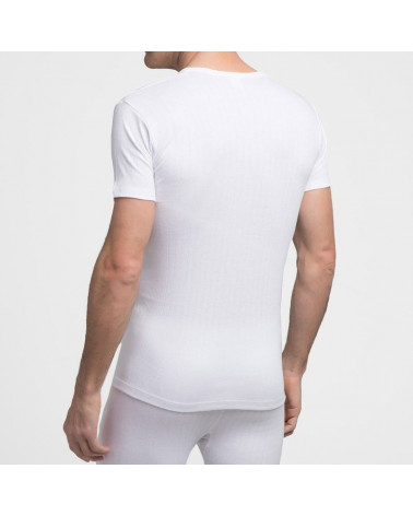 Camiseta Algodón Invierno Manga Corta cuello redondo blanca